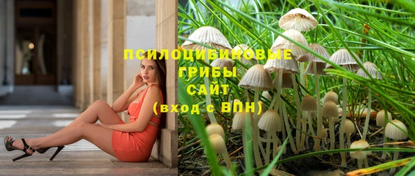 не бодяженный Балахна