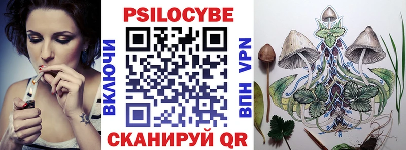 Псилоцибиновые грибы Psilocybine cubensis  Новодвинск 